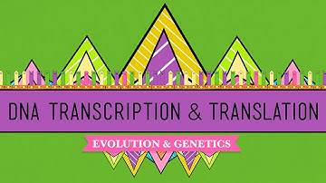 DNA, Hot Pockets, & The Longest Word Ever: Crash Course Biology #11