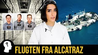Hej Wtf'ere! Hvad tror du? Lykkedes det for dem at overleve? Læg di...