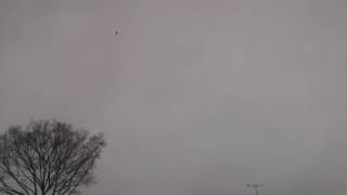 20170408 1