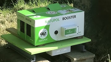 Monitoring Bees Activity