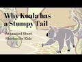 Why koala has a stumpy tail animated stories for kids
