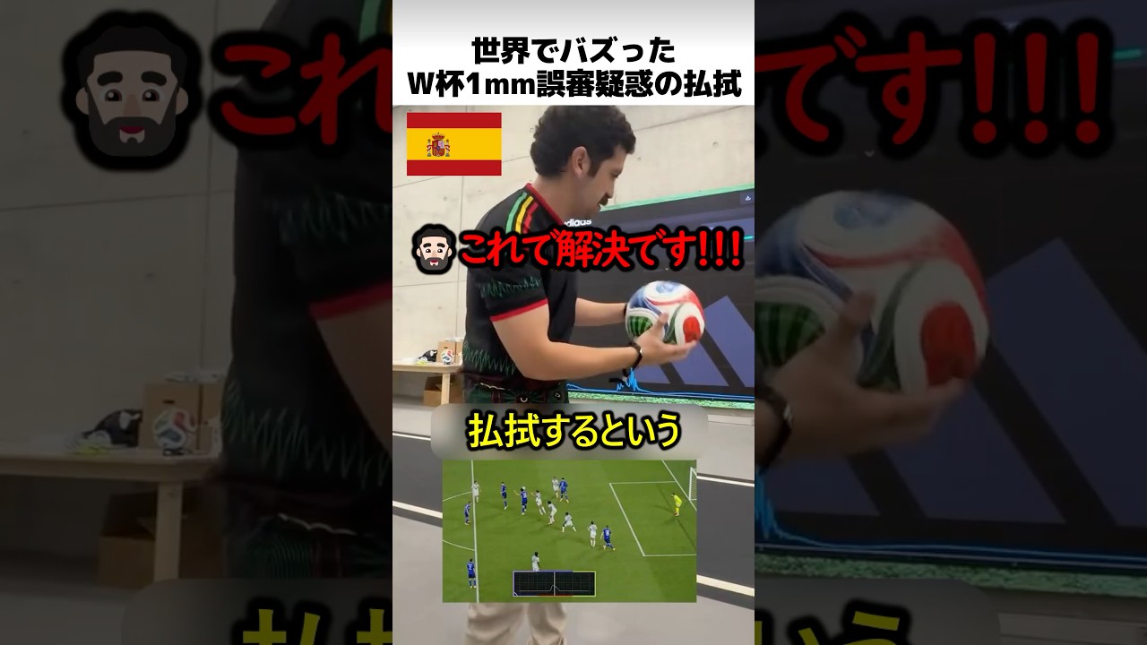 W杯タッチ1mm誤審疑惑の払拭