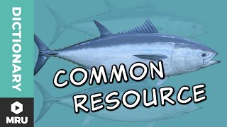 What Is A Common Resource?