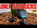 Upgrade Your Audio with these $25.00 Budget Earbuds