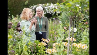 Overcoming Loneliness: How Companionship Services Can Help the Elderly