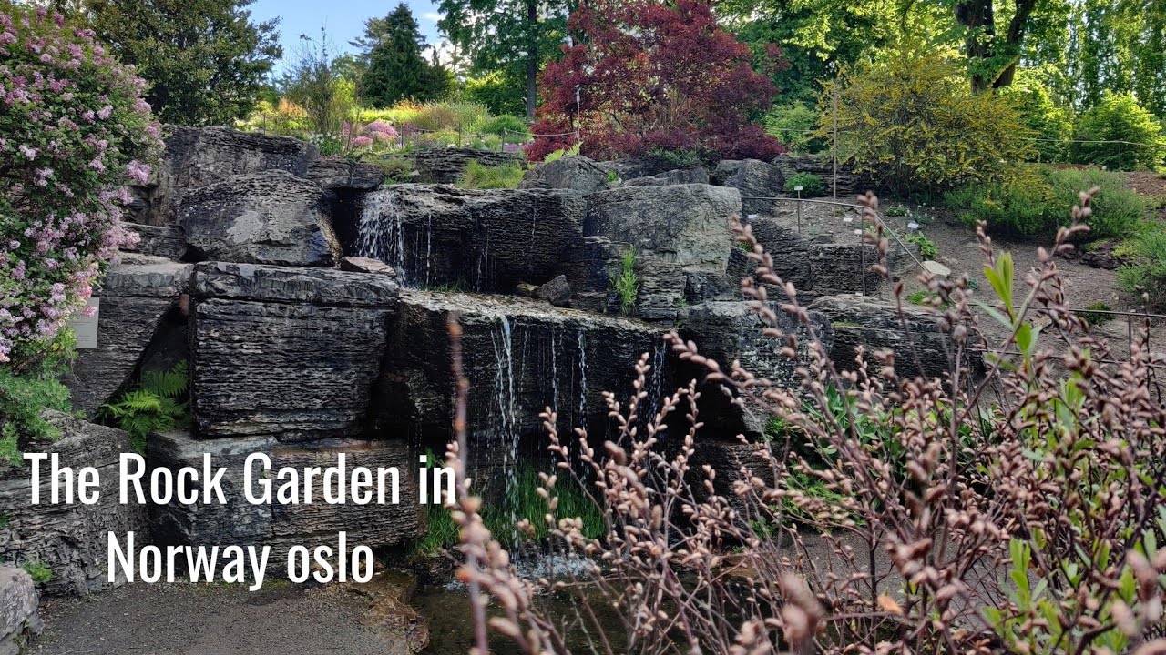 The Rock Garden in norway 
