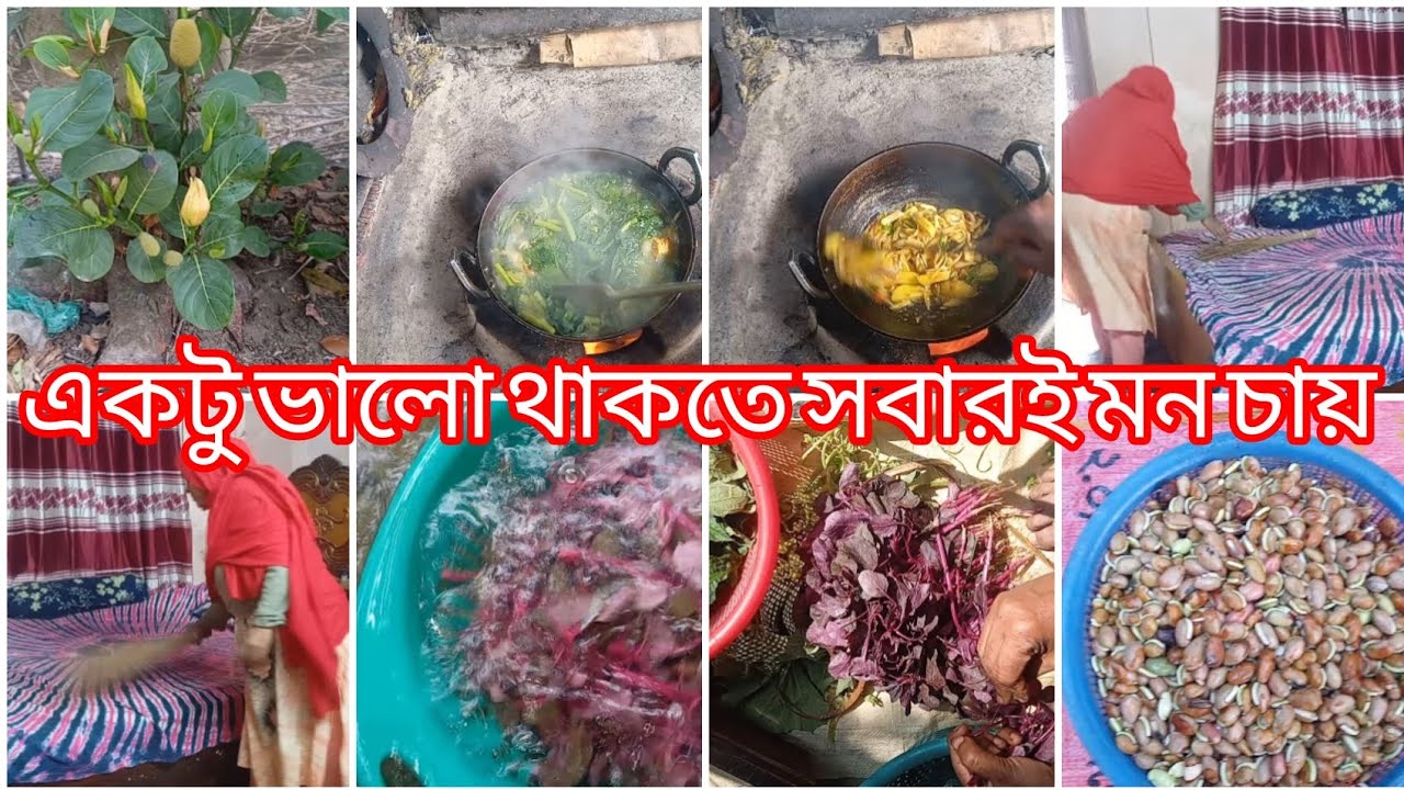 তেলাপিয়া মাছ দিয়ে লাউ শাক রান্না 🌿আবার যেতে হবে #villagelife #banglavideo #arifablogvideo 