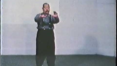 Steps from Master Wang Su Jin Tai Chi Form