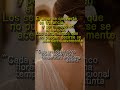 ES: Cinco flores hermosas y fragantes
