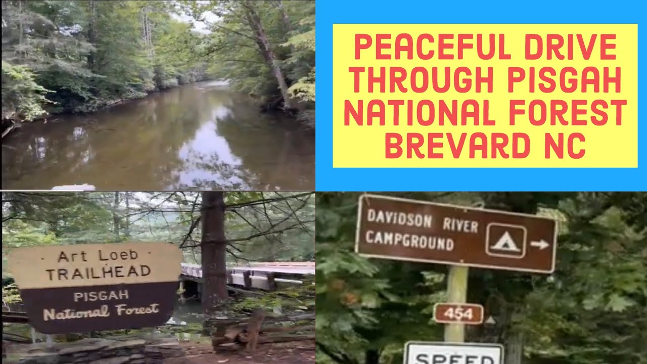 Beautiful Drive Pisgah National Park North Carolina