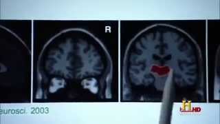 The Secrets of The Human Brain Full Documentary