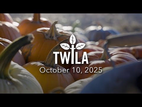 TWILA October 10 2025