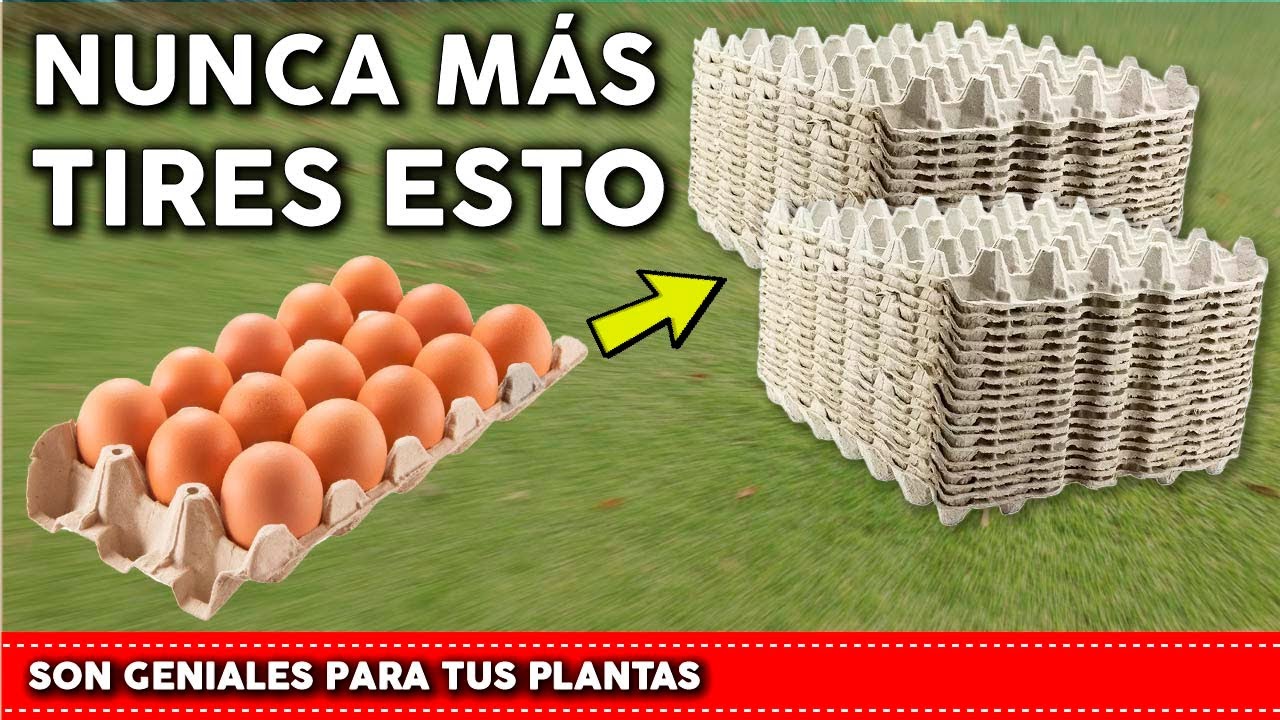 NUNCA M�S tires el cart�n de huevo:  Esta t�cnica revolucionar� tu huerta