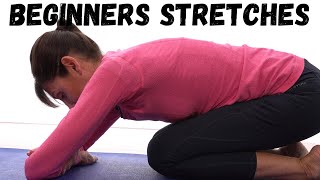 Beginners Stretching Exercises for General Flexibility - 10 MIN ROUTINE screenshot 3