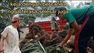 muat sawit terlalu serius sampai mau jatu.😅😅