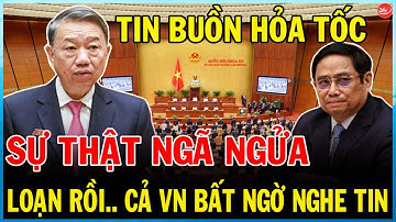 Hết Cấm Xe Xăng, Lại Tới Xe Giường Nằm: Phát Ngôn Bất Ngờ Từ Cục Trưởng CSGT! - TIN TỨC MỚI 24H