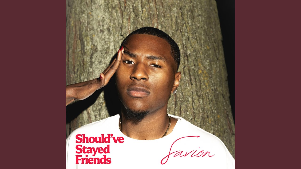 Should've Stayed Friends