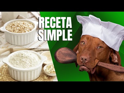 🐶🐱 COMO HACER HARINA DE AVENA PARA REPOSTERÍA CANINA Y FELINA (HAZLO DESDE CASA) ¡¡➡FUNCIONA ⬅!!