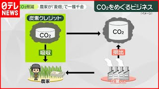 【4000万ほどの収入も】ビール工場や麦畑で…「炭素ビジネス」に勢い　アメリカ