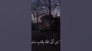 تلاوة القرآن الكريم بصوت جميل ❤️✨ #القرآن #القرآن_الكريم #القران_الكريم_في_الصباح #راحة_نفسية