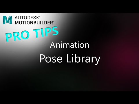 MotionBuilder ProTips -