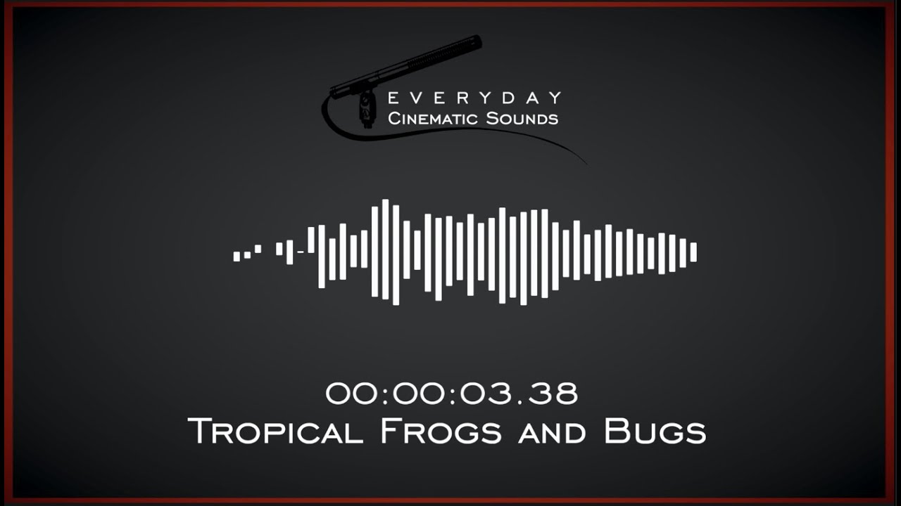 Tropical Frogs and Bugs Ambience | HQ Sound Effect