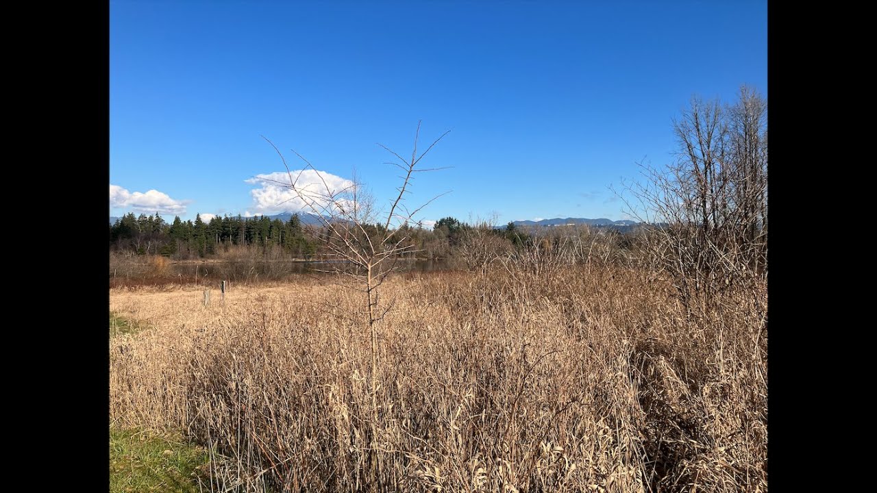 Jehesh w Shimmer Bass All Way Artist; Resilan Qwestu