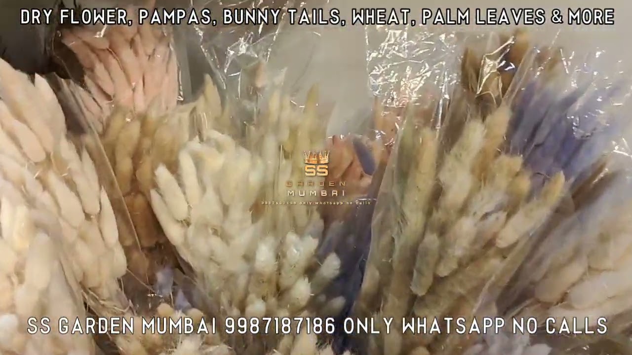 Dry Flowers, Pampas, Bunny Tails, Wheat, Palm Leaves and More Bouquets Making Attractive Products