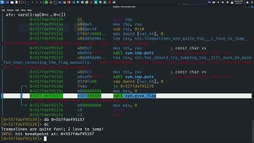 PatriotCTF 2023(patchwork) Reverse Engineering: Binary Patching with radare2