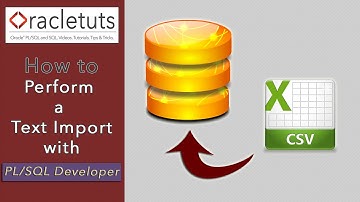 How To Perform A Text Import With PL/SQL Developer