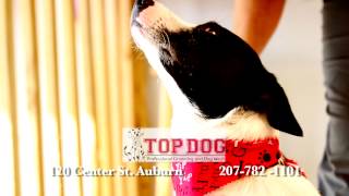 Top Dog Professional Grooming and Dog Wash - 30 Second TV Spot