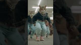 Cat dancing #catdancing #dancingcat #funnycat #catvideo #catlover #catreels #petreels #cutecat #cat