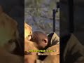 Why Was This Lion Cub Found Dead?