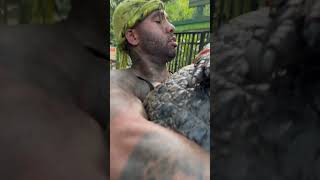 Crocodile dropped me with a tail sweep and a headbutt !