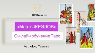🔥МАСТЬ ЖЕЗЛОВ ОТ ТУЗА ДО КОРОЛЯ 🔥 КАК ЛЕГКО ПОНЯТЬ !👩🏼🎓