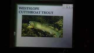 GIS and Fly Fishing - Dr. Steve Aldrich & Dr. Rob Benson - April 17, 2013