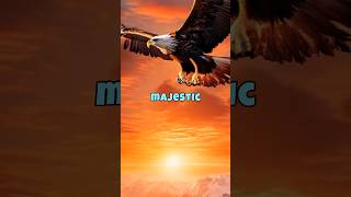 How an Eagle’s Flight Shaped Poland’s Destiny 🦅