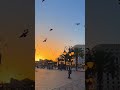 Agen Travel Biro Umroh di Pekalongan WA. 0858-4234-8647 (Chat dulu sebelum telpon) — WhatsApp Video