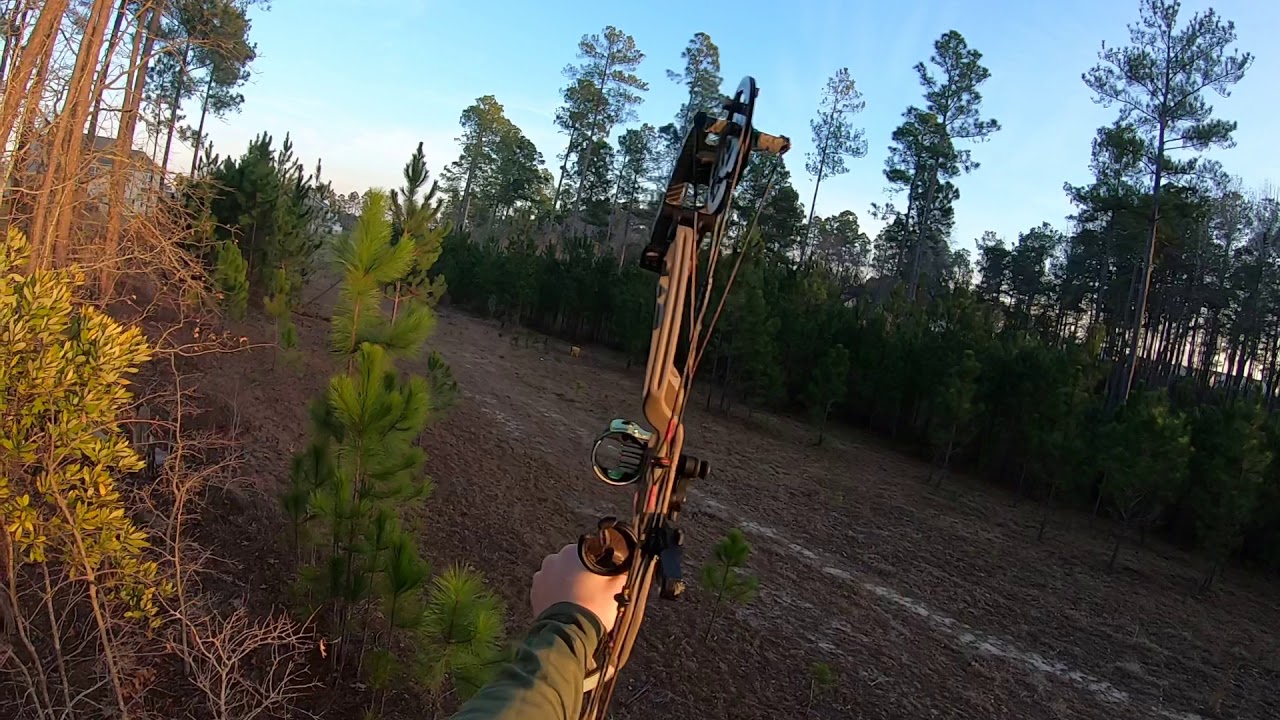 Summit Climber Stand YouTube