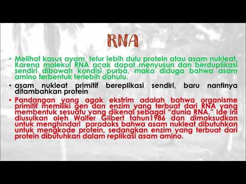 Video: Evolusi Dan Karakterisasi Fungsional Paseat Lyase PEL12, Anggota Dari Clonostachys Rosea Polysaccharide Lyase 1 Keluarga Yang Sangat Berkembang