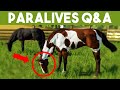 PARALIVES: Horse Breeding/Activities, Pet Jobs, Custody, Multi-Tasking, Ladders, & More