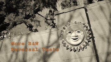 More B&W Reversal Tests
