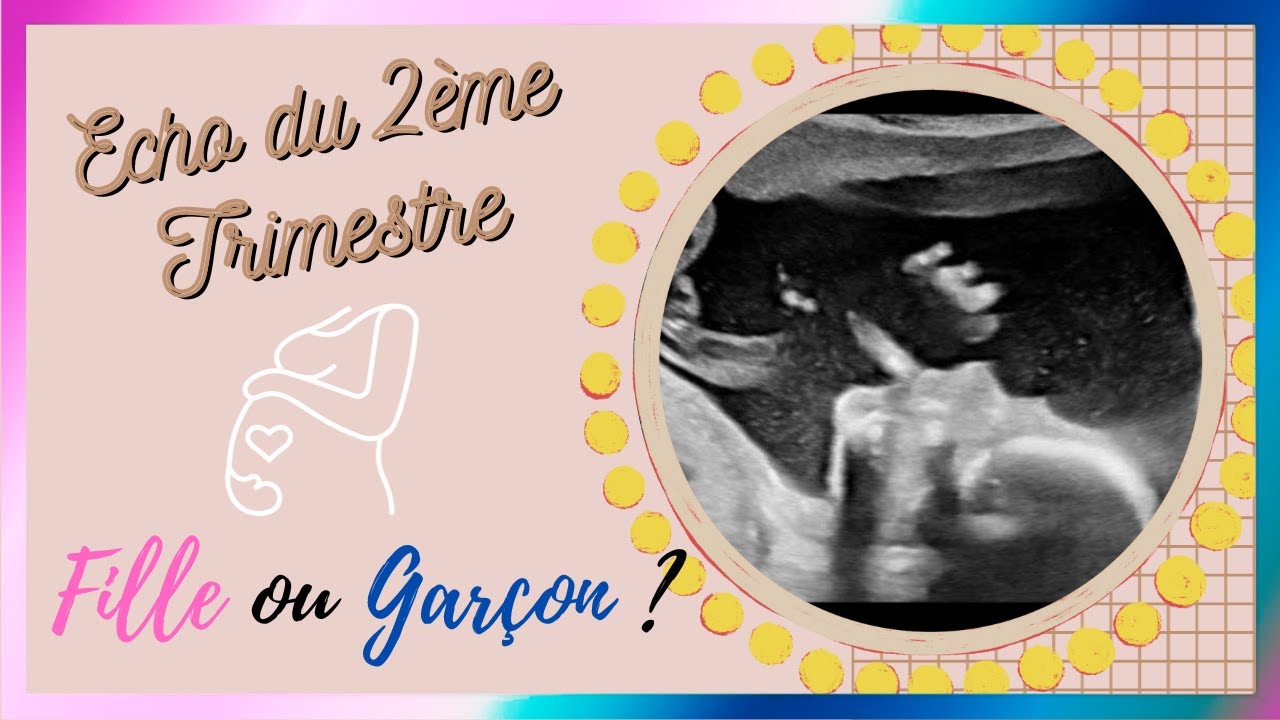 VLOG FAMILLE NOMBREUSES N°138] ECHO DU 2EME TRIMESTRE FILLE OU GARÇON