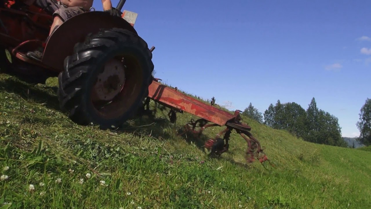 Slåttonn med Gutbrod MF 72 og Volvo BM 320 - YouTube Per Arne Bustnes