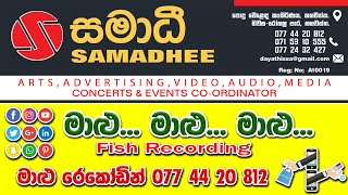 Download Lagu malu recording sinhala new 2022 MP3 Download Lagu malu recording sinhala new 2022 MP3