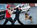 When Cops Are Saved By Police Dogs