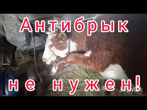 Антибрык не нужен.