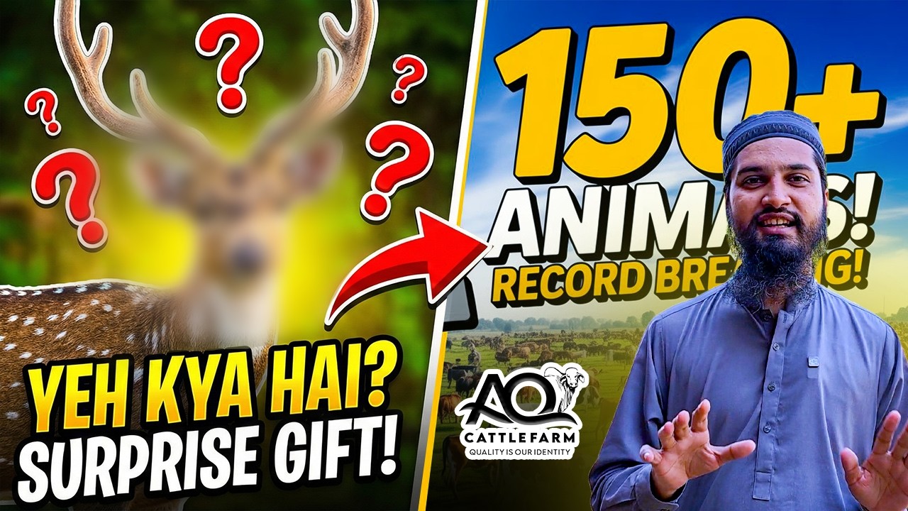Wild Animals ki entry! AQ Cattle Farm ab farm nahi, Zoo ban gaya?