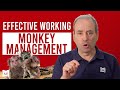 Monkey Management: How to Deal with a Monkey on Your Back