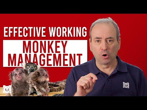 What is Monkey
